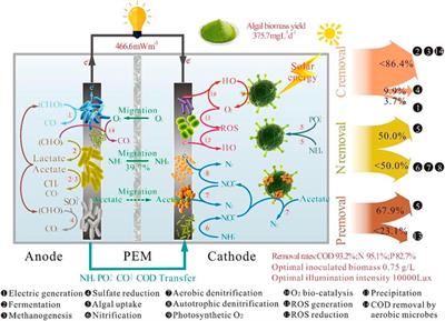 Photocatalytic Microbial Fuel Cells and Performance Applications: A Review